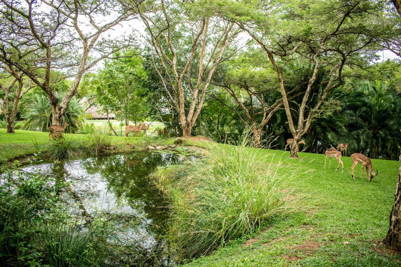 茵亚玛坦227B克朗格公园小屋 雾观 外观 照片